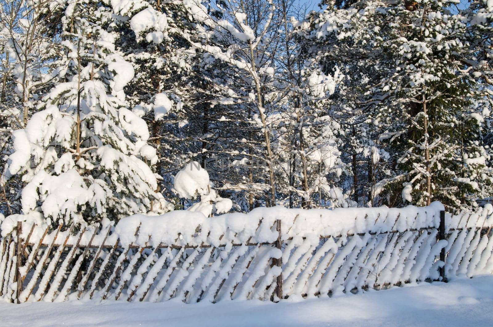 The wooden fence filled up by a snow in a countryside.