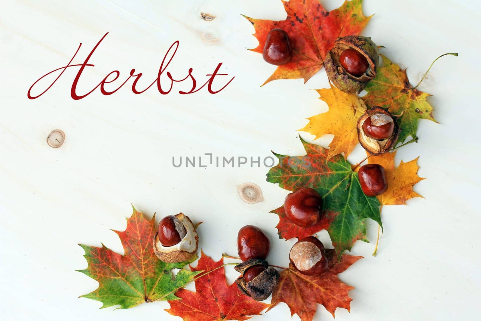 Cheerful-colorful autumn