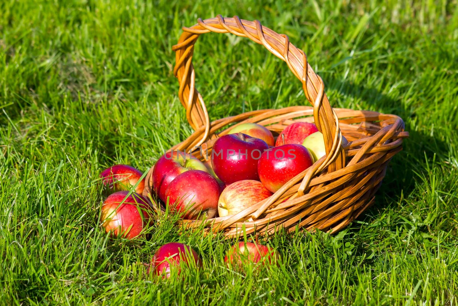 fresh apples in a basket