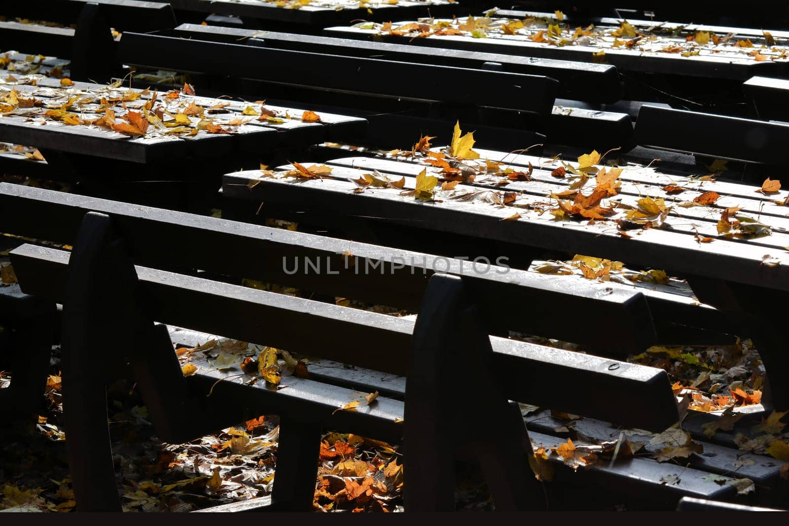 Beer garden in autumn