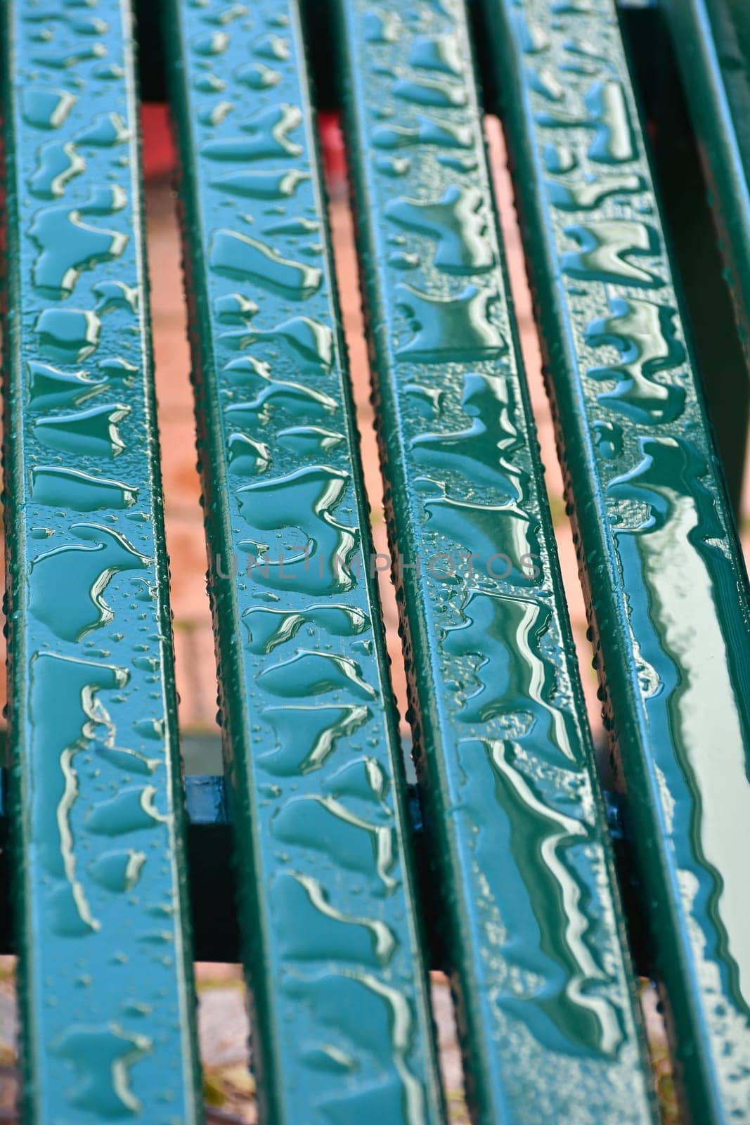 after the rain
