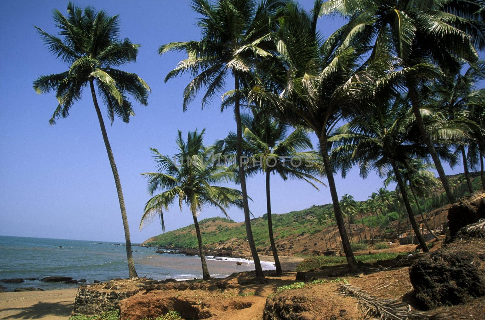 the beach of Anjuna in the Province Goa in India.