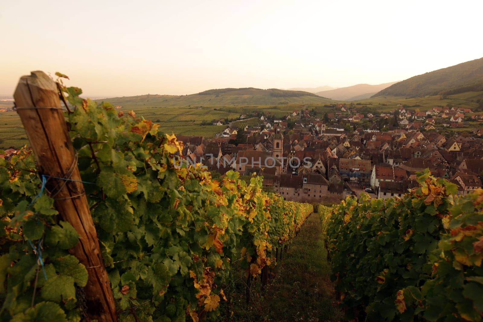 the olt town of the village of Riquewihr in the province of Alsace in France in Europe