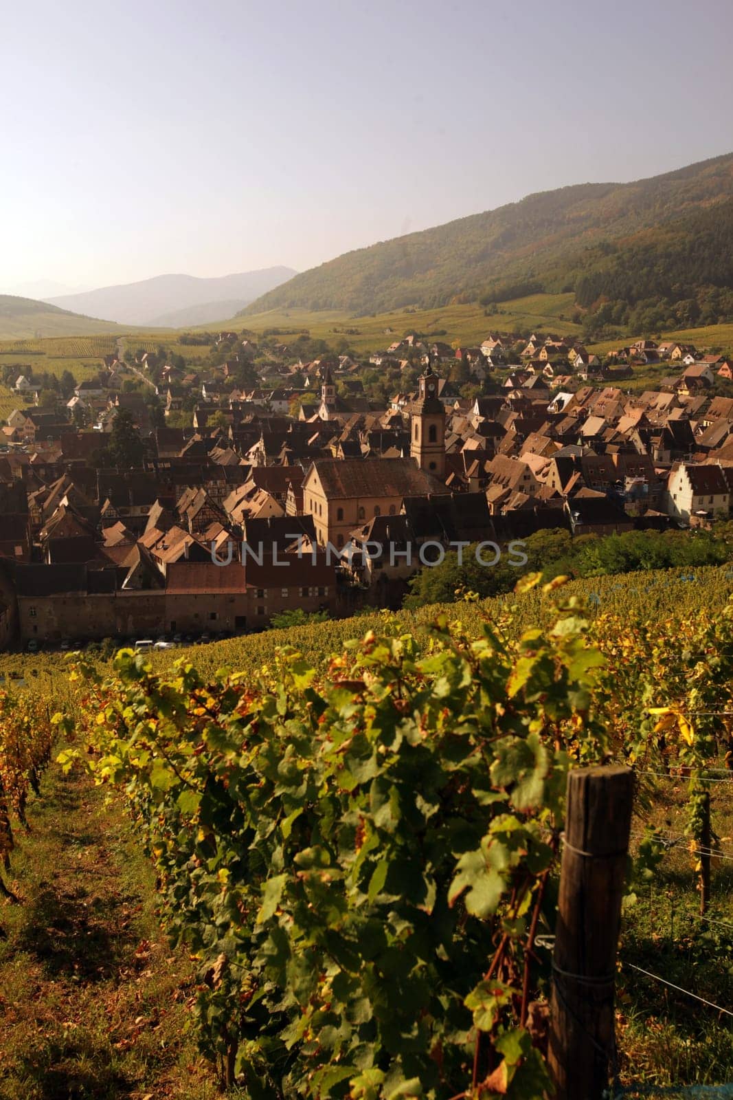 the olt town of the village of Riquewihr in the province of Alsace in France in Europe