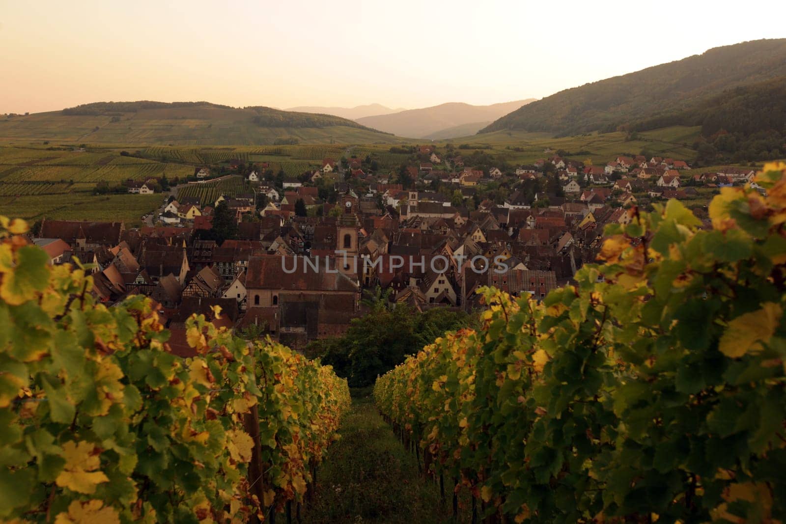the olt town of the village of Riquewihr in the province of Alsace in France in Europe