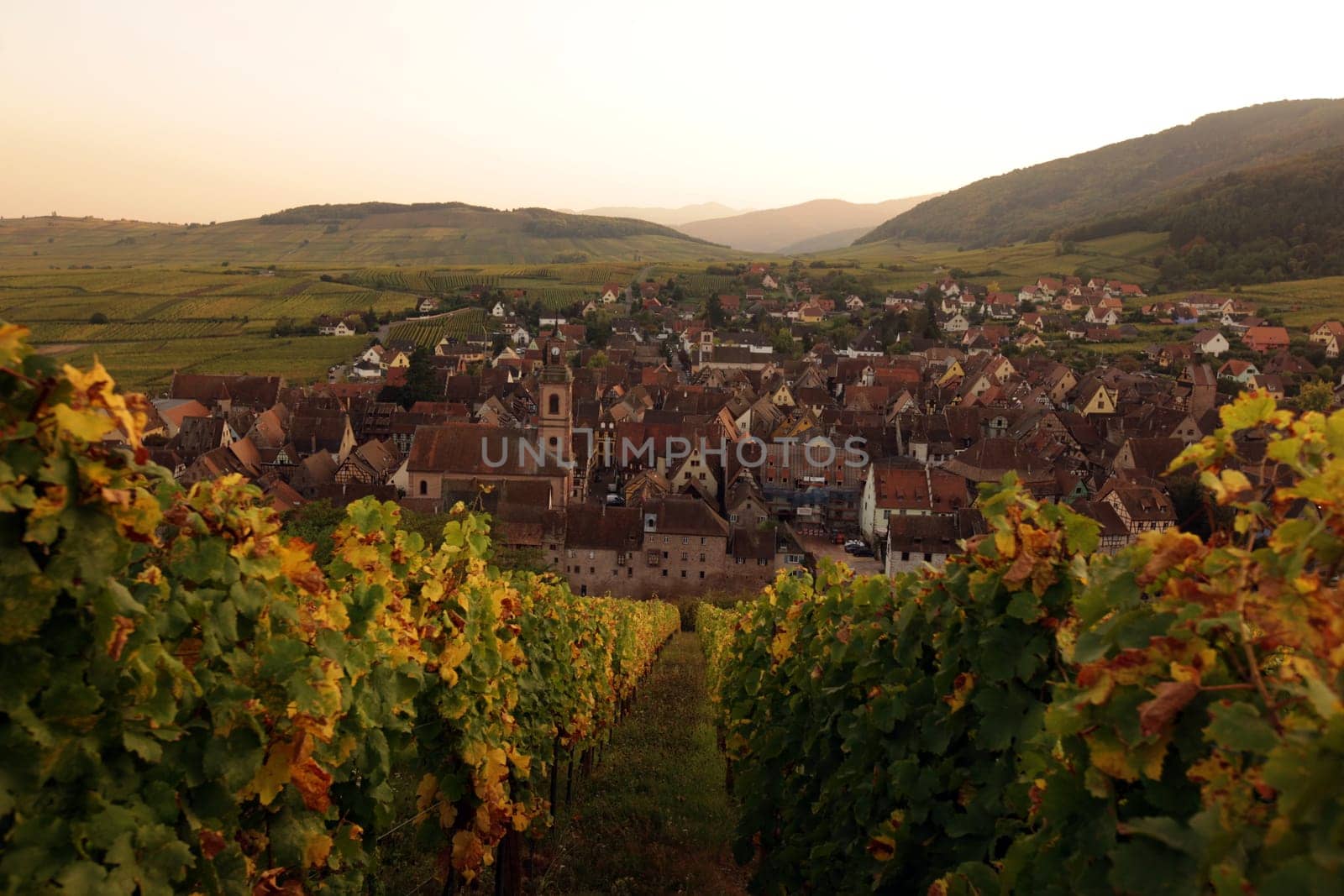 the olt town of the village of Riquewihr in the province of Alsace in France in Europe
