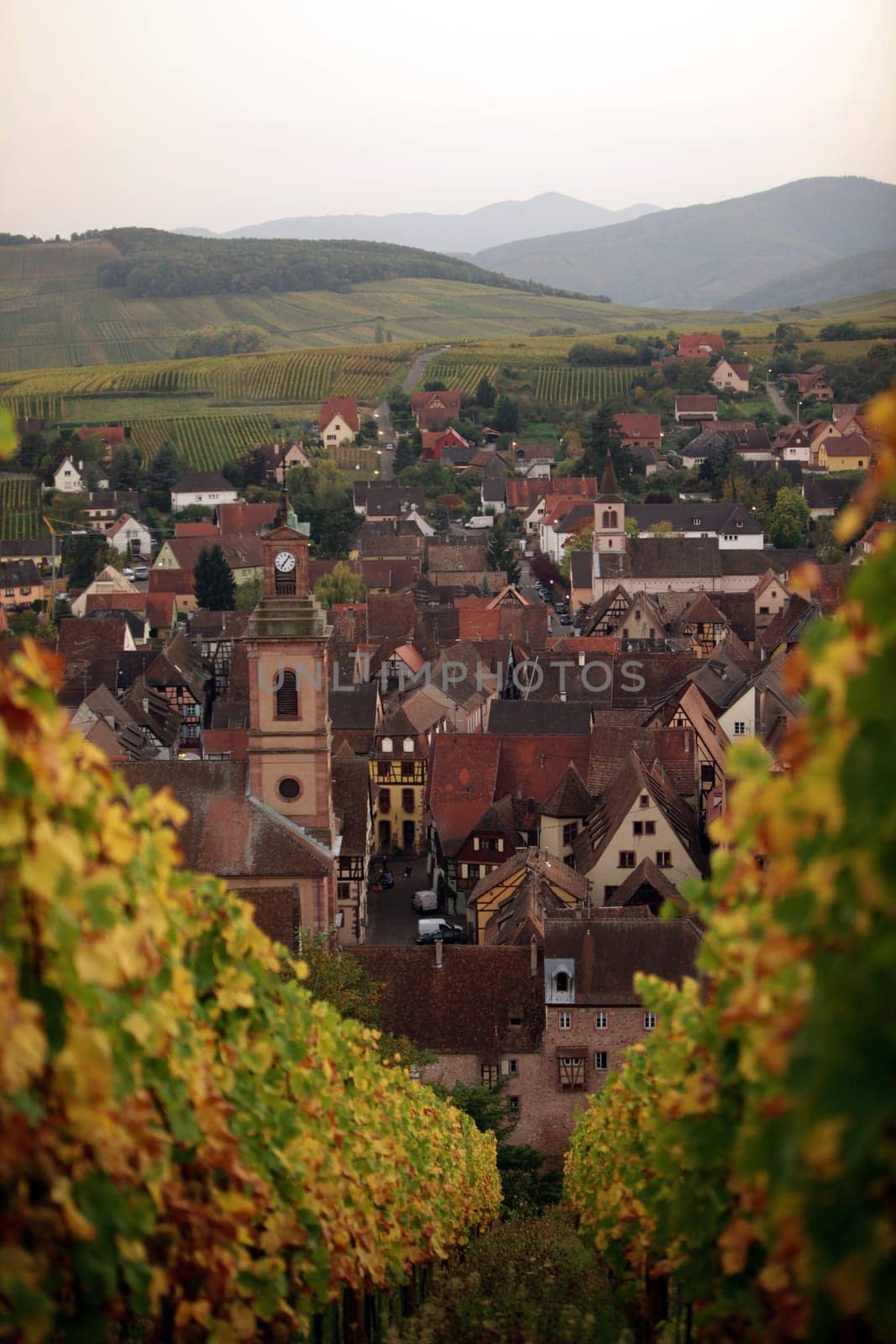 the olt town of the village of Riquewihr in the province of Alsace in France in Europe