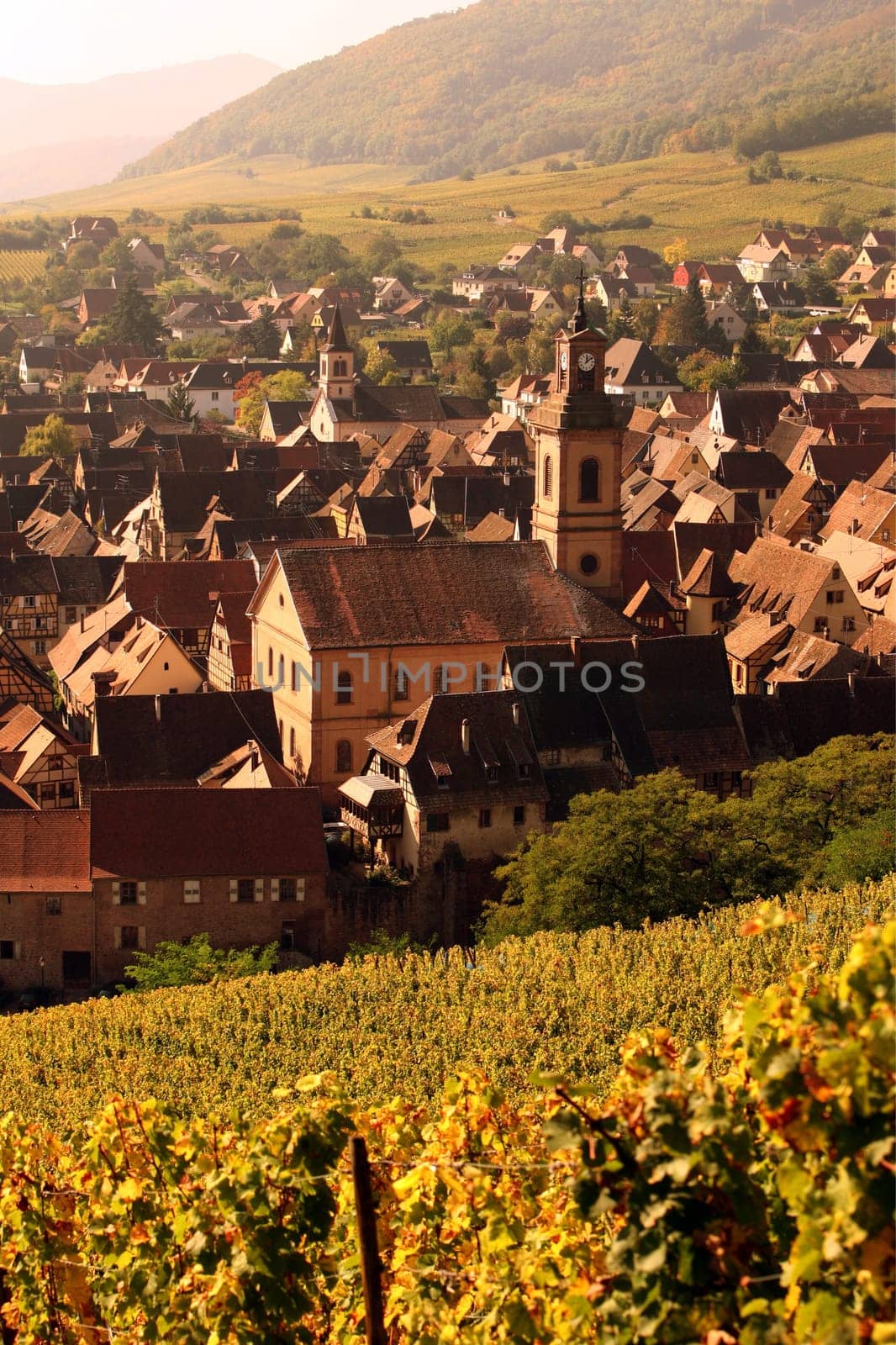 the olt town of the village of Riquewihr in the province of Alsace in France in Europe