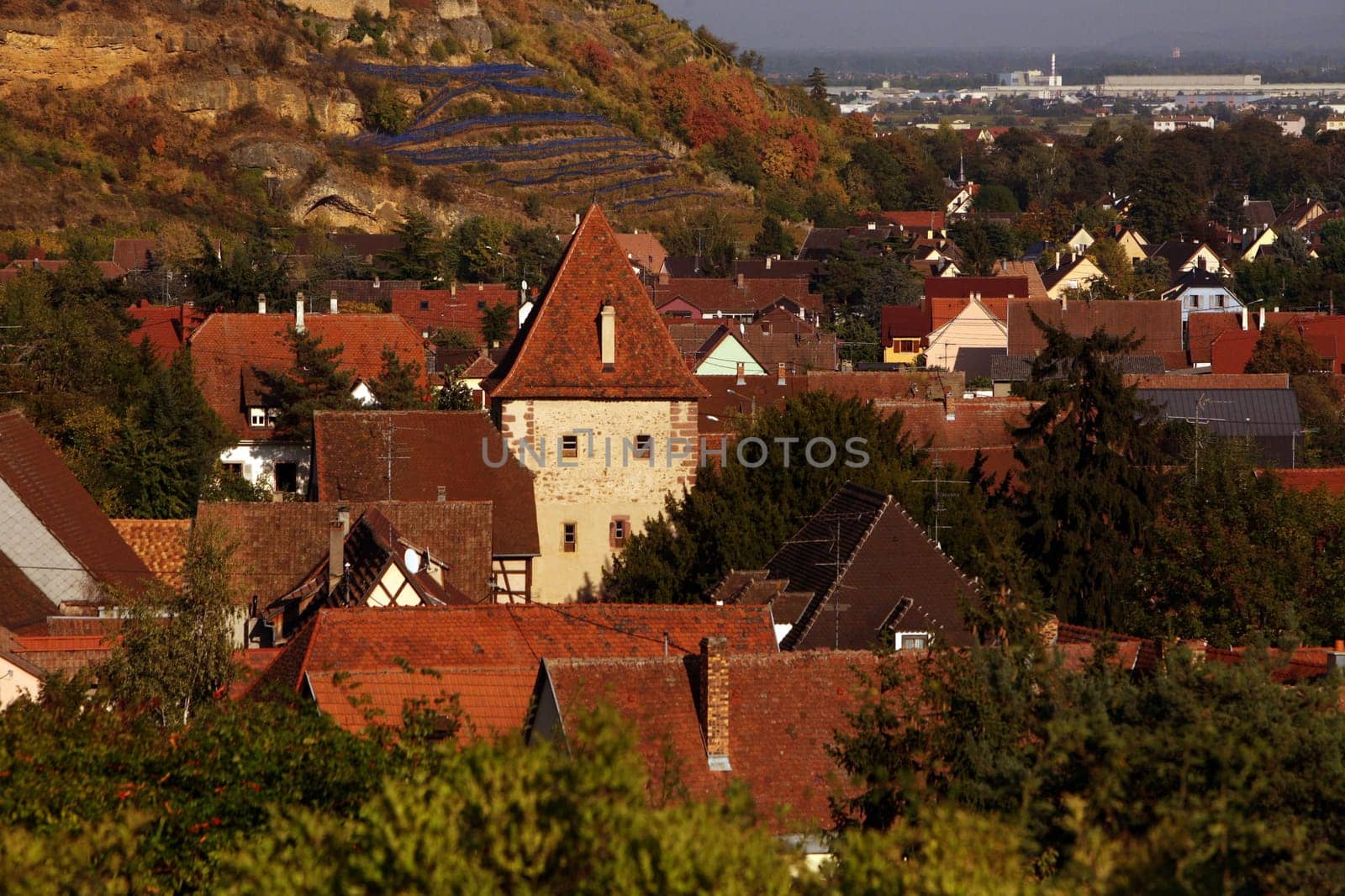the Village of Turckheim in the province of Alsace in France in Europe