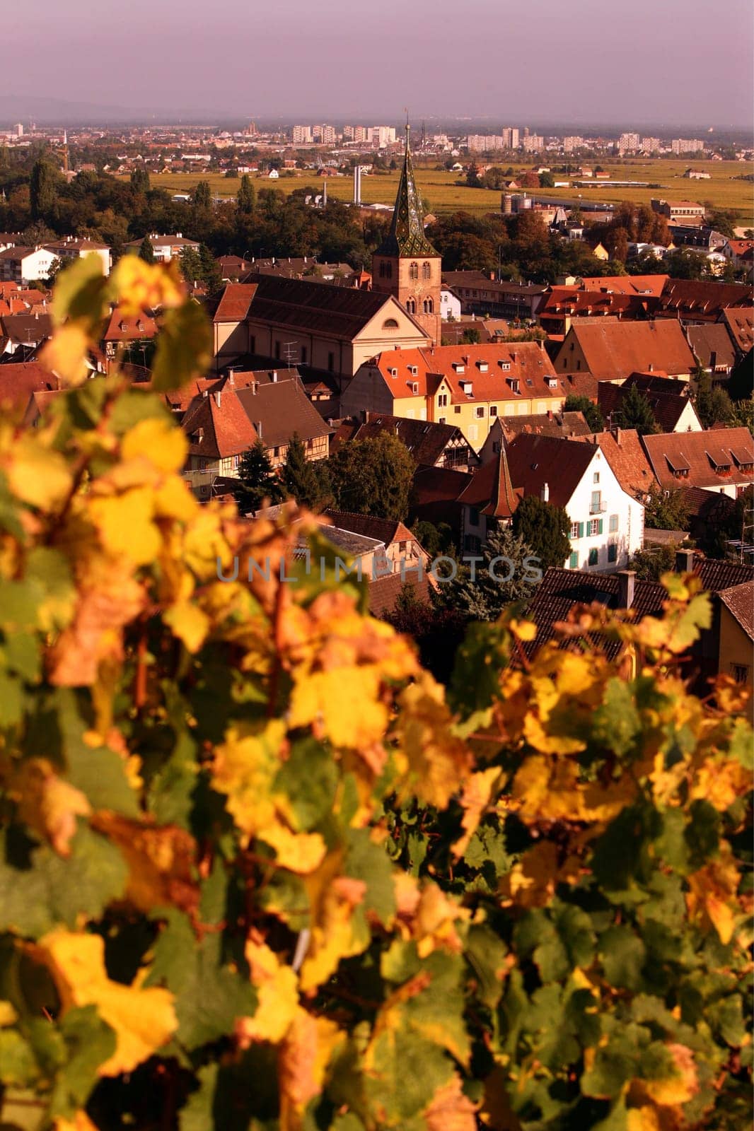 the Village of Turckheim in the province of Alsace in France in Europe