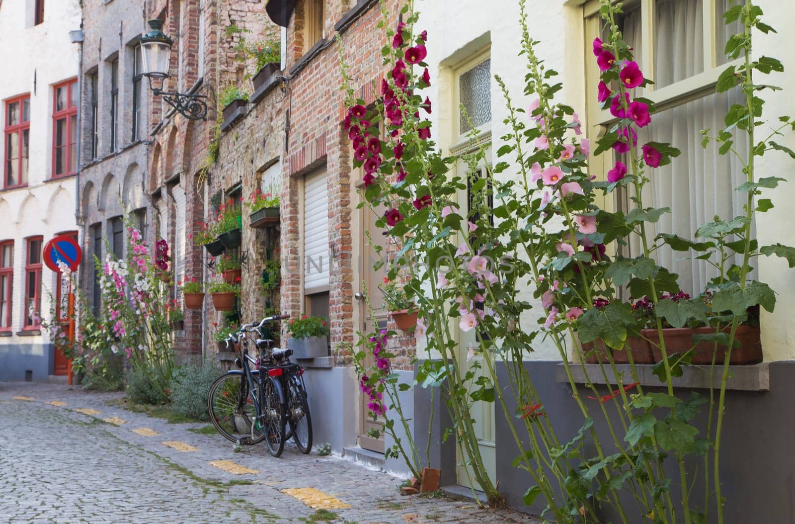 Empty street in Bruges. Bicycles are standing in front of the house. Pink and red flowers are growing close to the house.