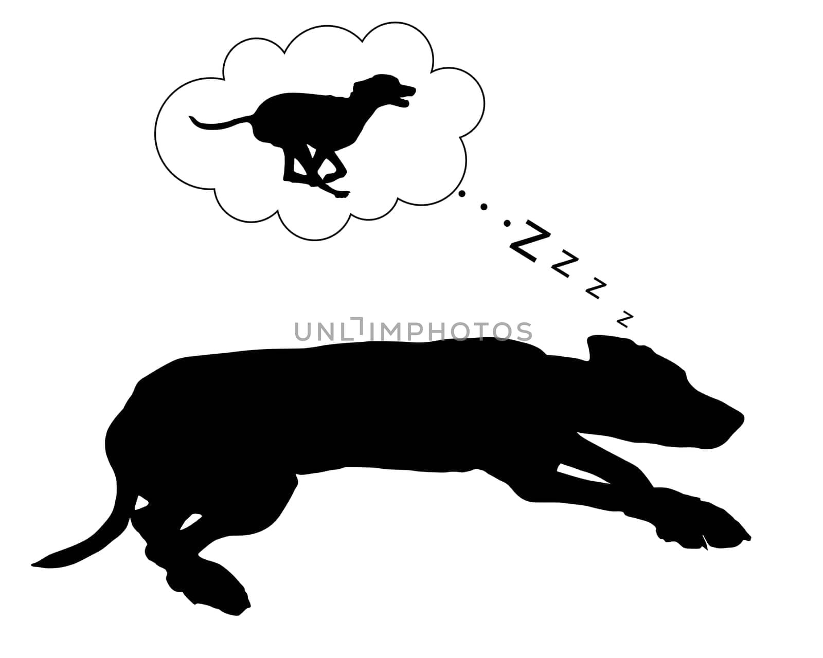 Dog dreams