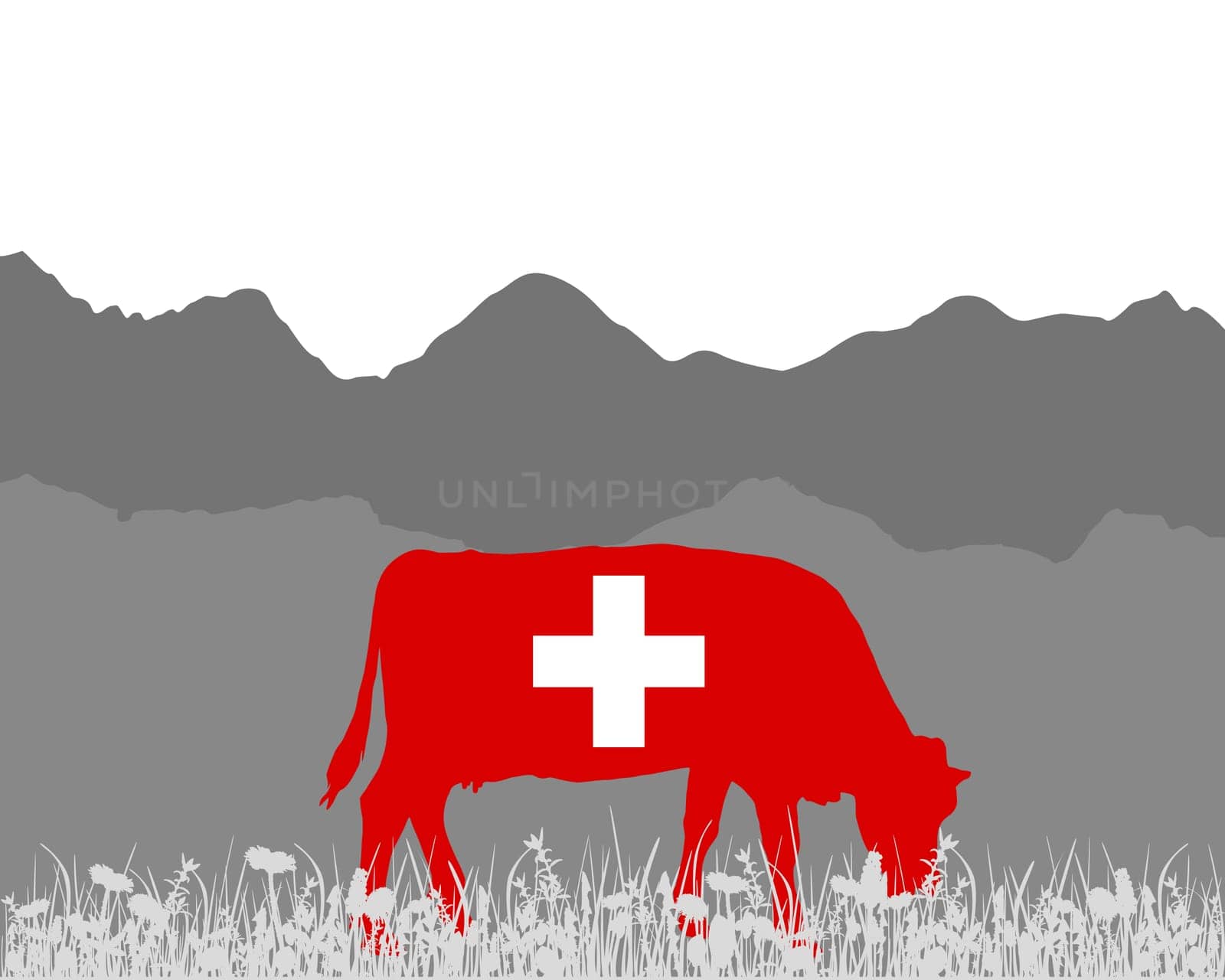 Cow Alm and Swiss Flag