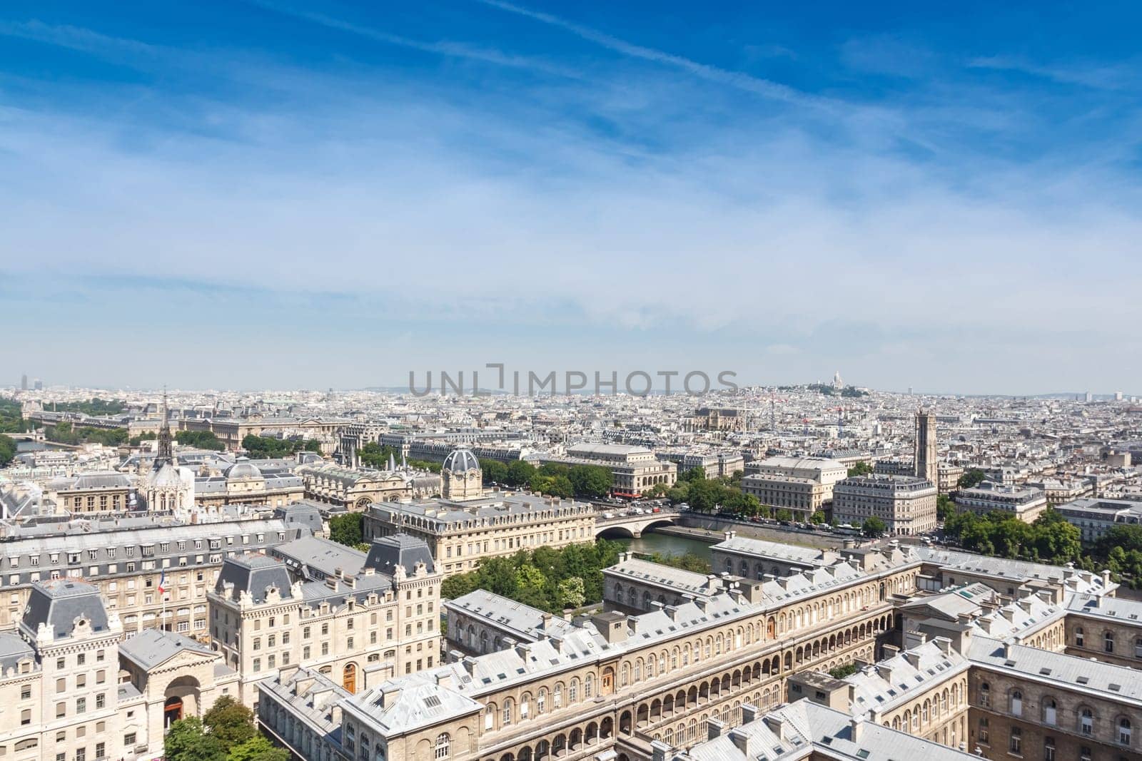 view of Paris from the Notre Dame Cathedral, France