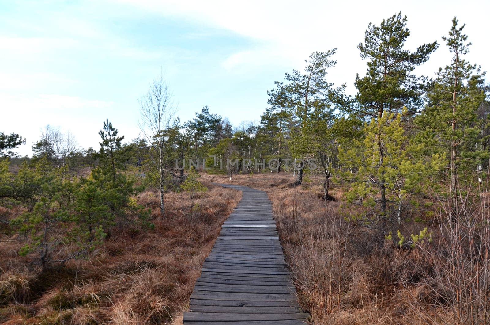 moorlandschaft