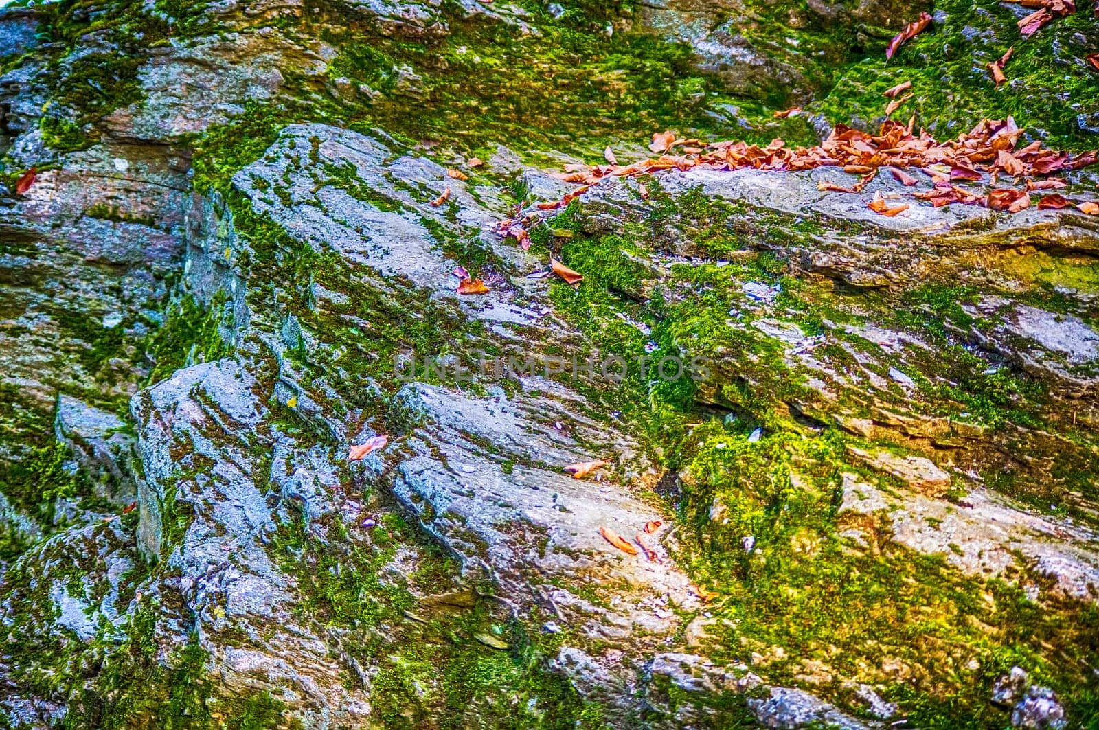 Mossy rock for the texture, background and pattern.