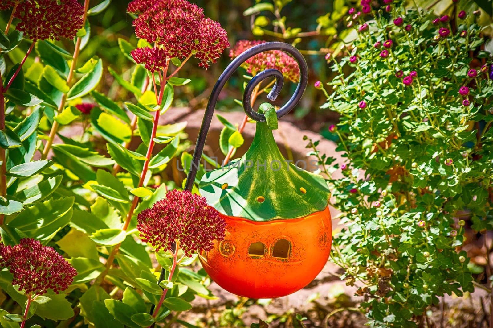 Handmade ceramic jack-o'lantern between the plants in the garden.