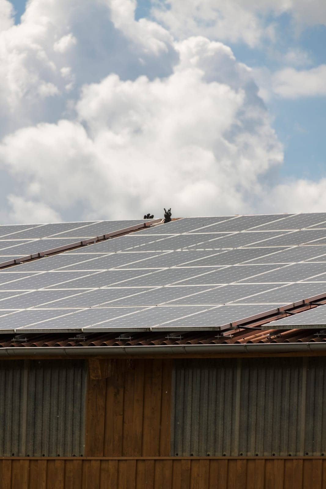 Photovoltaic solar cells on a roof alternative energy in outdoor sunshine