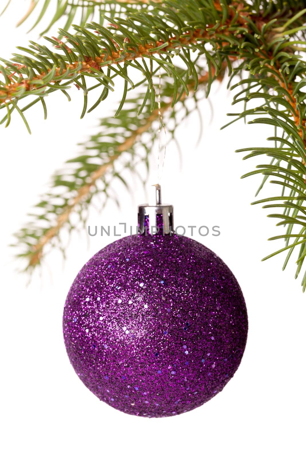 Traditional Christmas ball hung on a green fir branch isolated against a white background