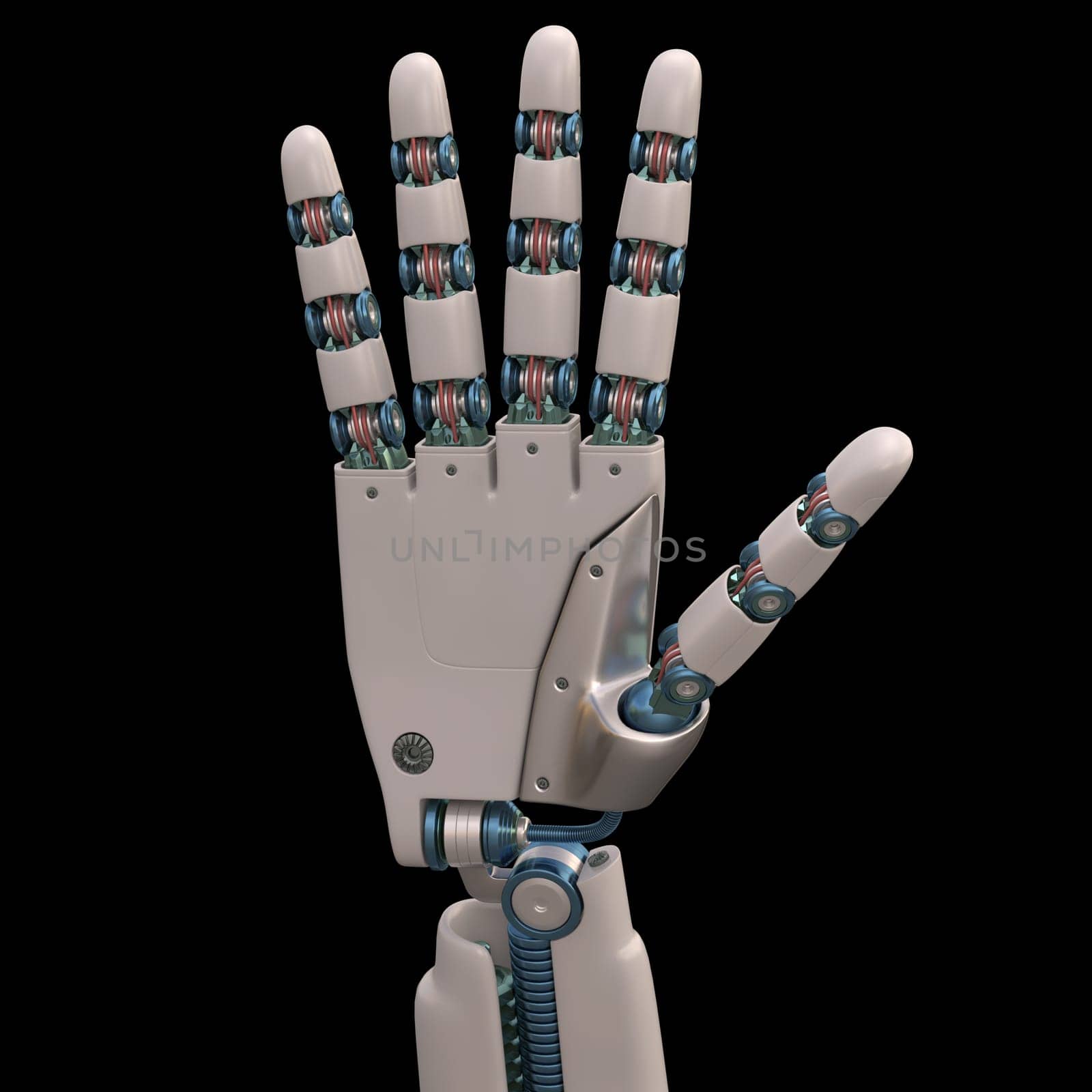 Robotic hand shaped and measures that mimic the human skeleton. Clipping path included.