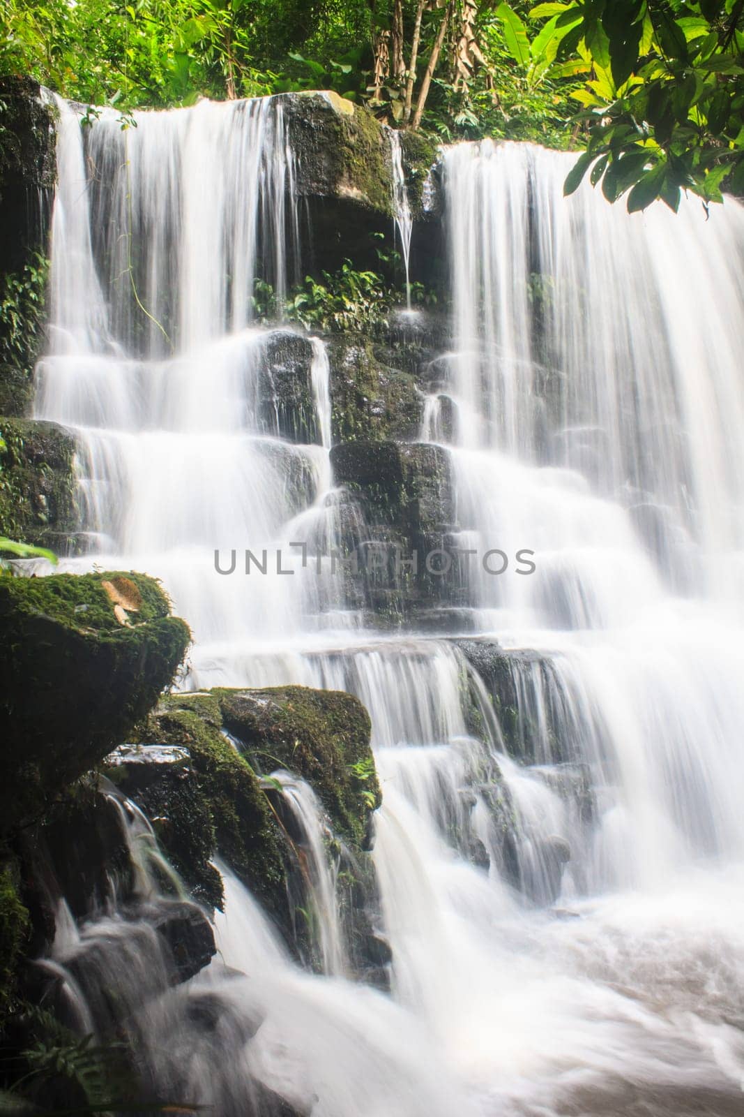 rainforest waterfall and rocks covered with moss
