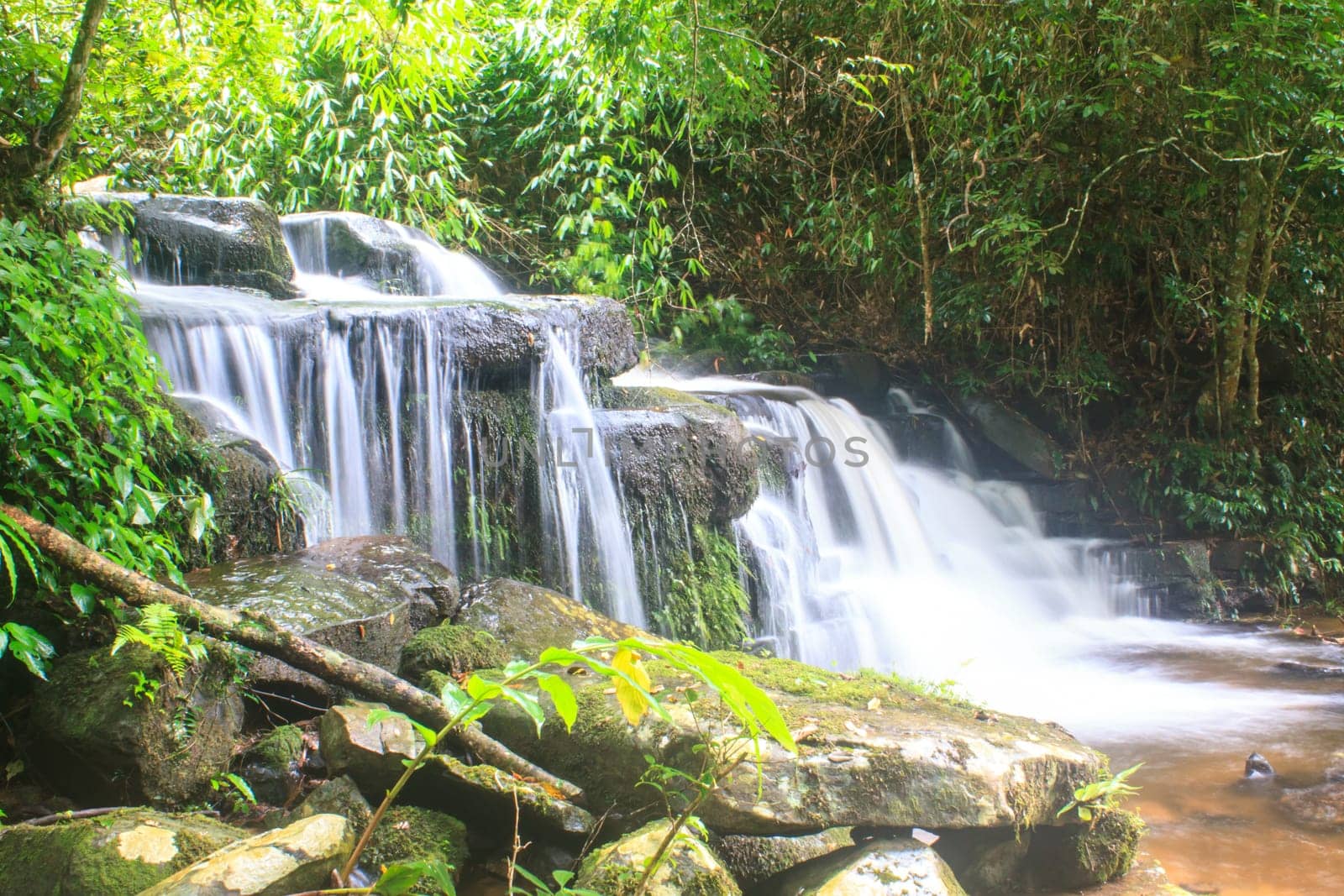 rainforest waterfall and rocks covered with moss