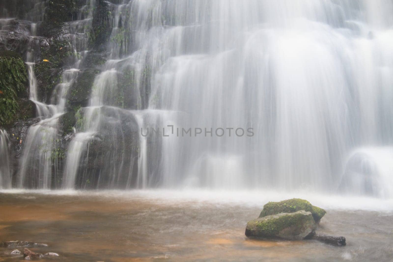 rainforest waterfall and rocks covered with moss
