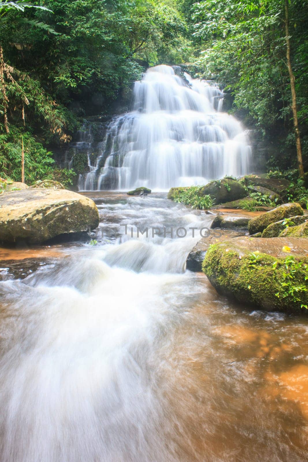 rainforest waterfall and rocks covered with moss