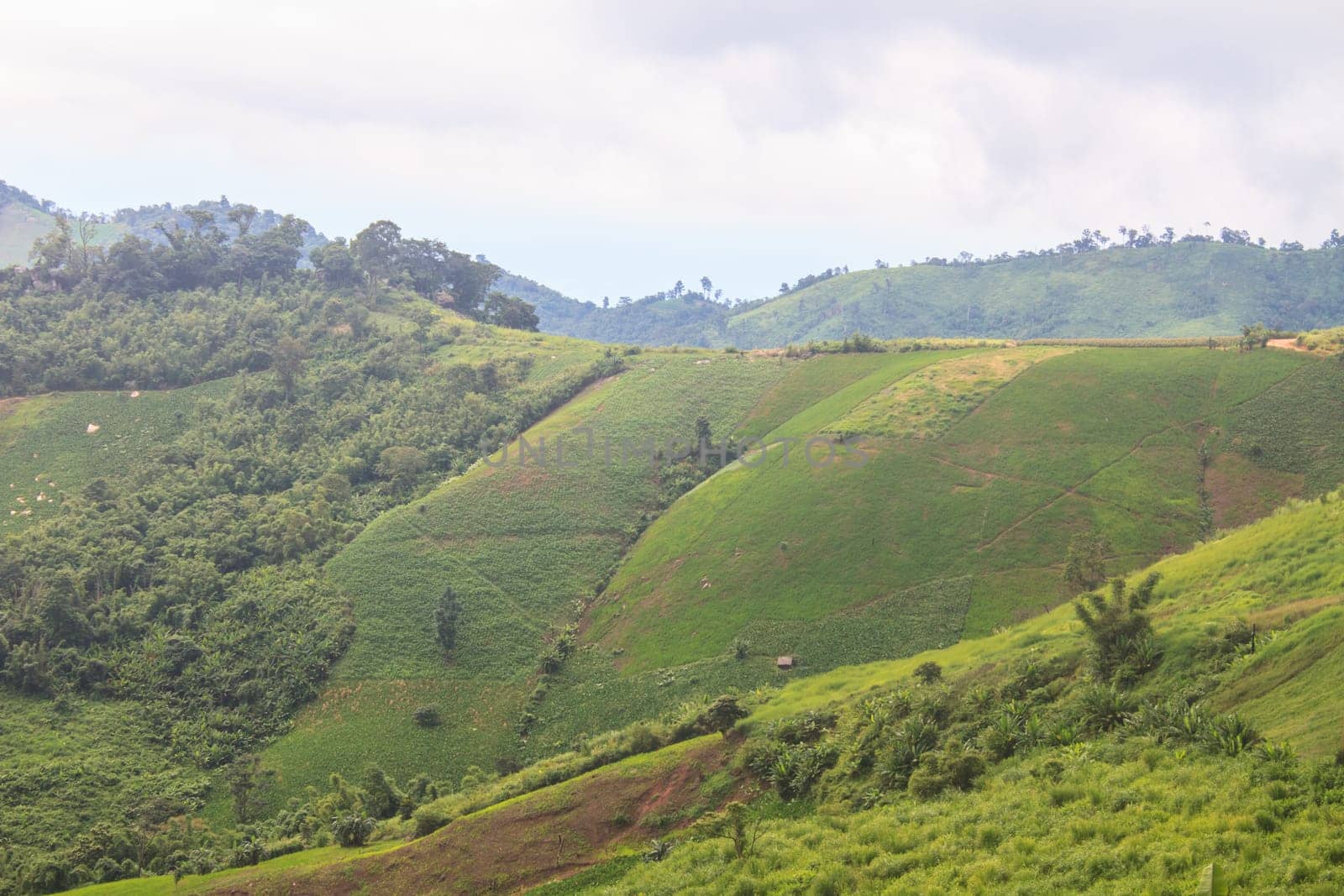 fields in the mountains, agricultural fields view