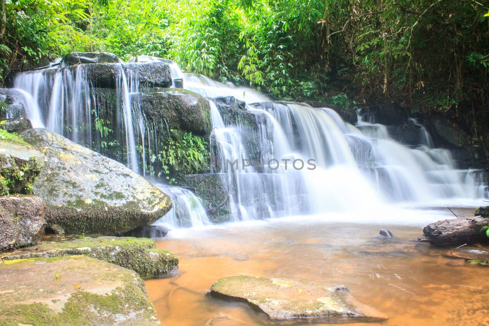 rainforest waterfall and rocks covered with moss
