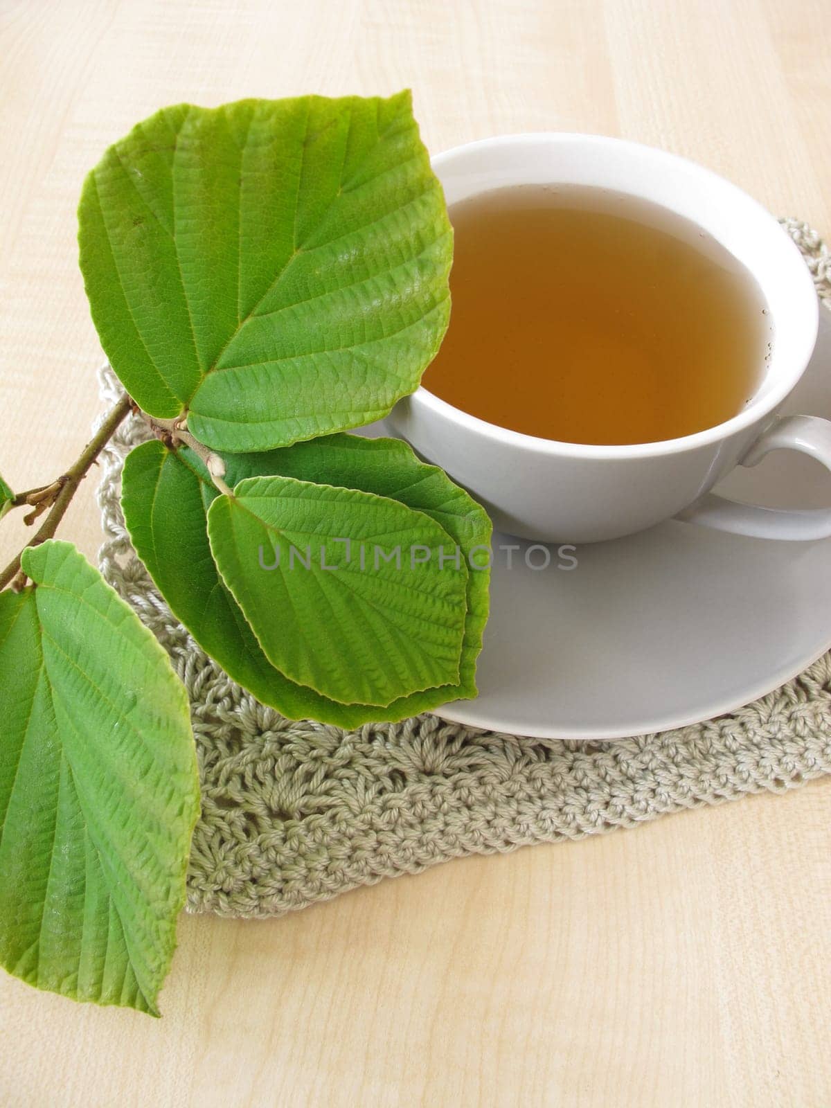 Hamamelis Tea