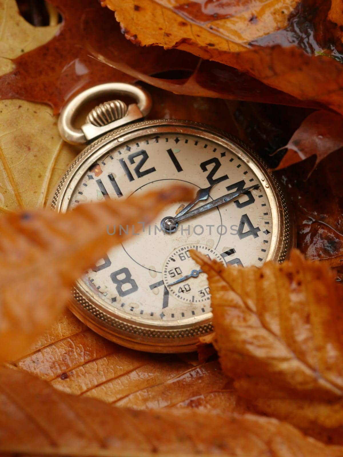 Winter time time change