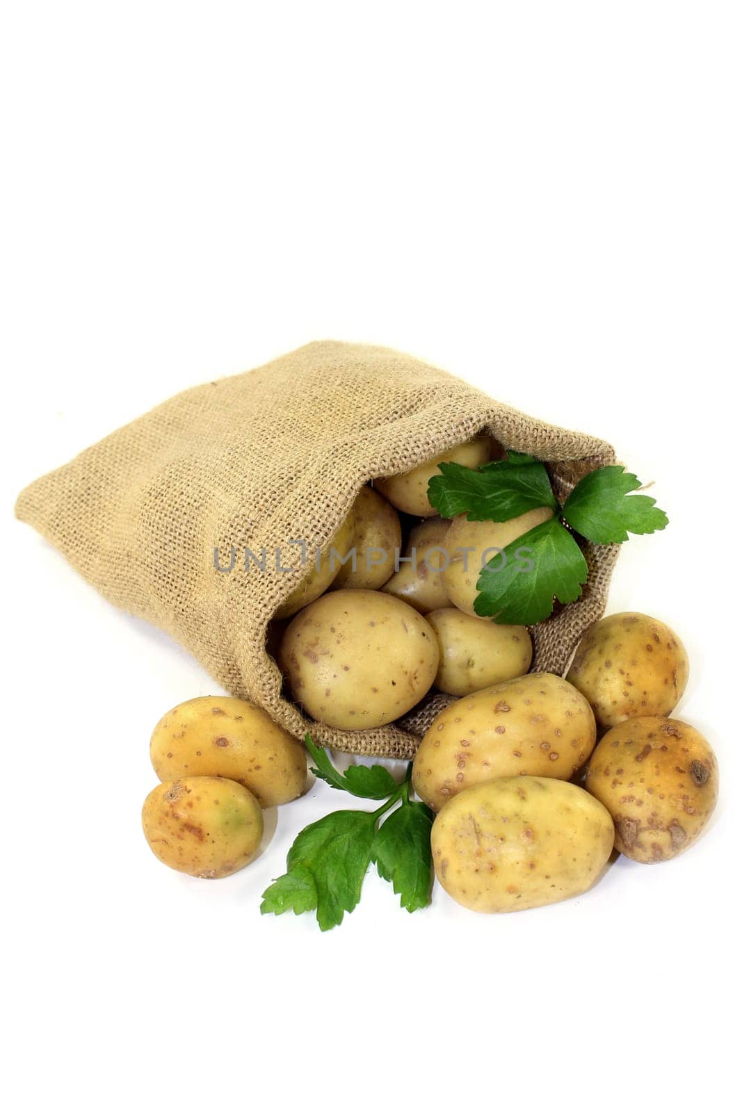 raw potatoes with parsley in a jute sack