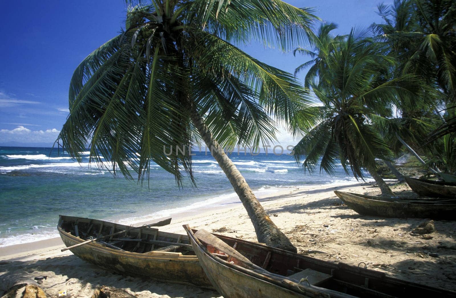 a Beach at the Village of Las Terrenas on Samanaon in The Dominican Republic in the Caribbean Sea in Latin America.