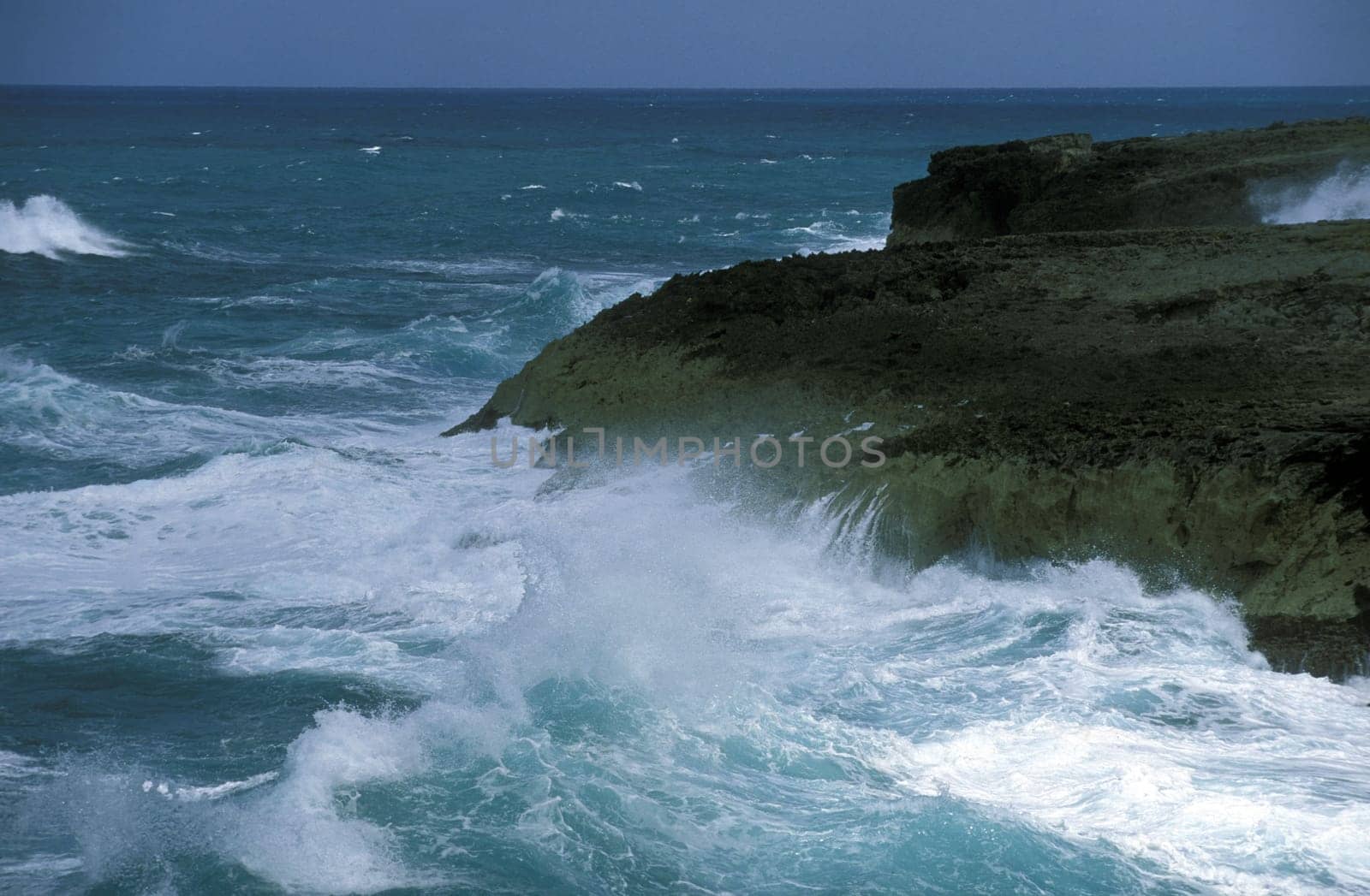 The coast at the Village of Punta Cana in the Dominican Republic in the Caribbean Sea in Latin America.