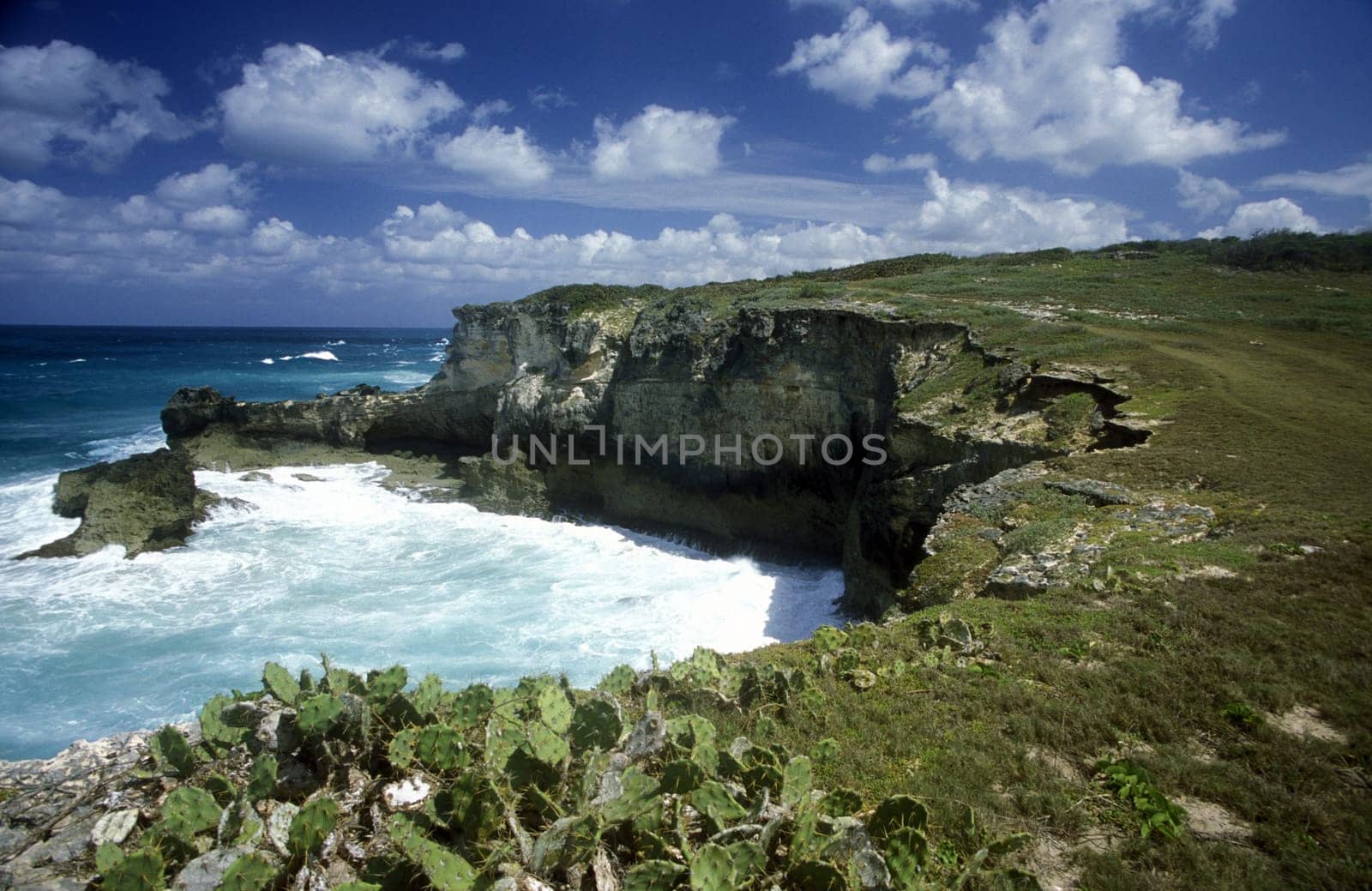 The coast at the Village of Punta Cana in the Dominican Republic in the Caribbean Sea in Latin America.