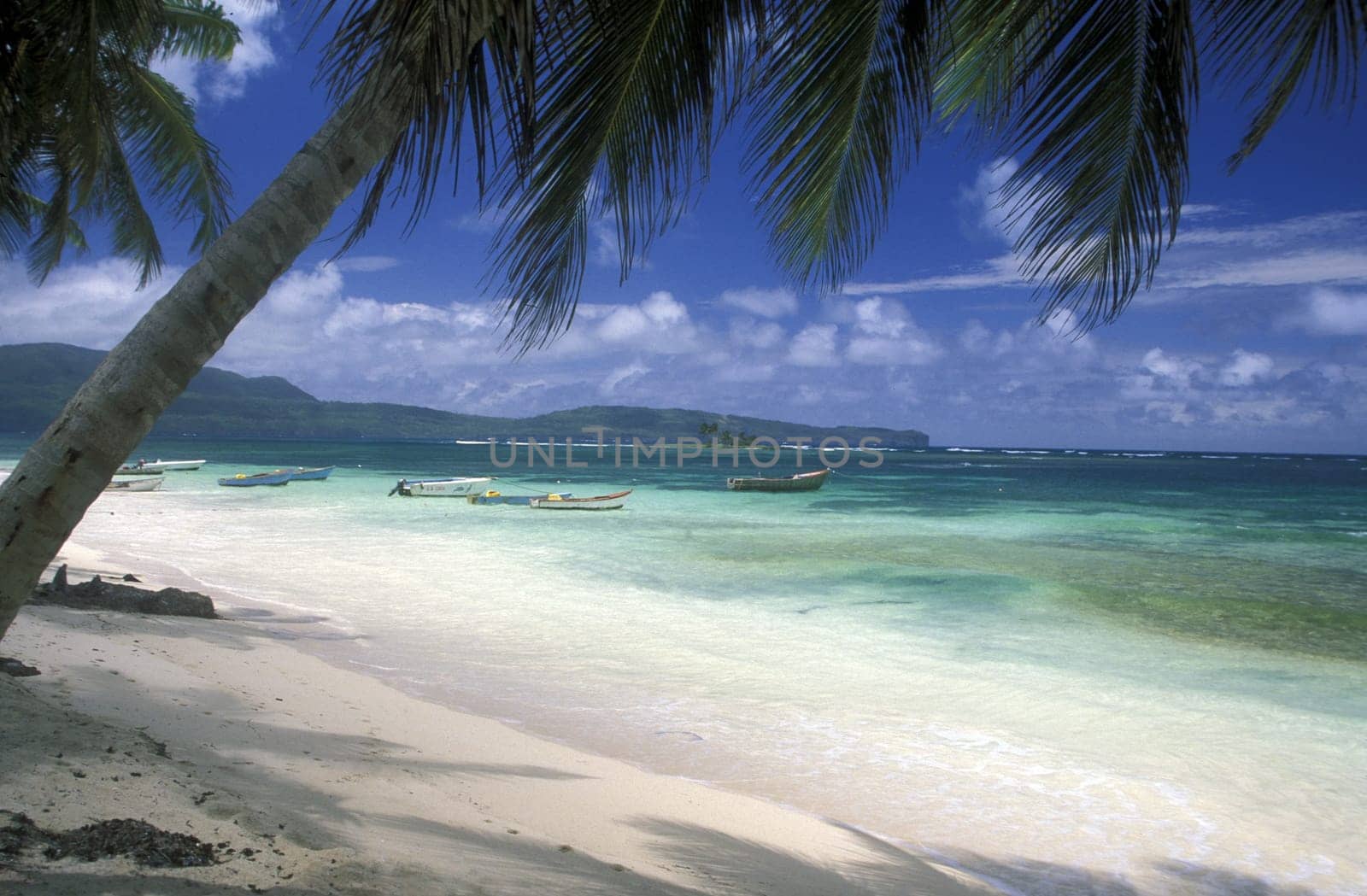 a Beach at the Village of Las Terrenas on Samanaon in The Dominican Republic in the Caribbean Sea in Latin America.