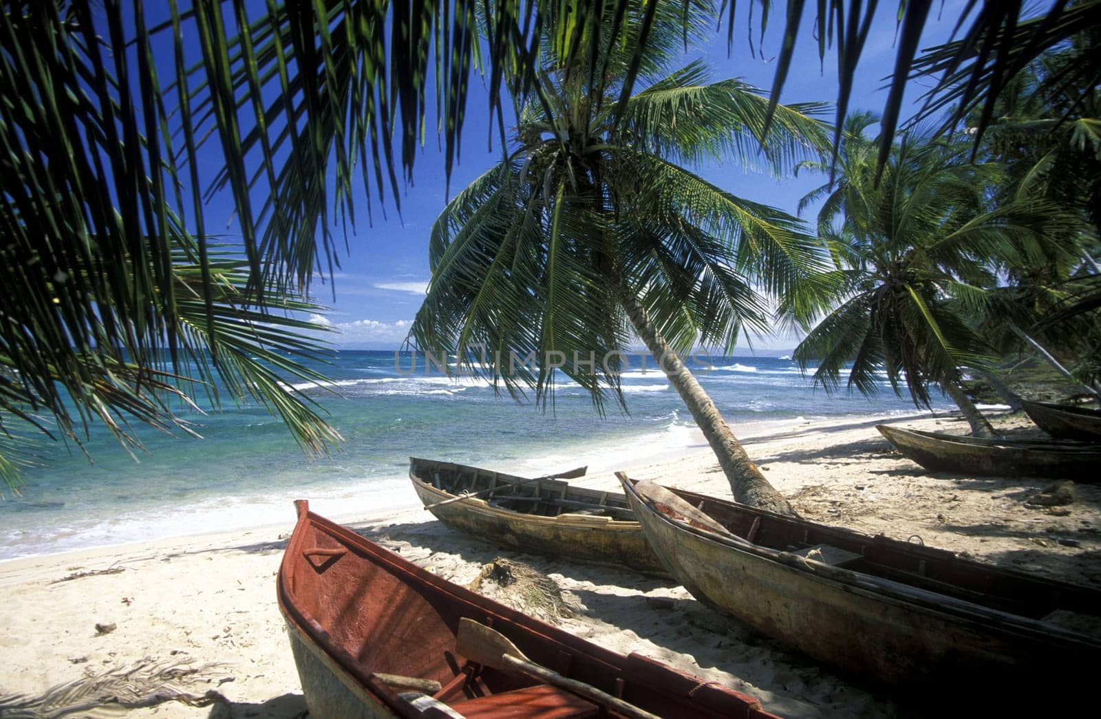 a Beach at the Village of Las Terrenas on Samanaon in The Dominican Republic in the Caribbean Sea in Latin America.