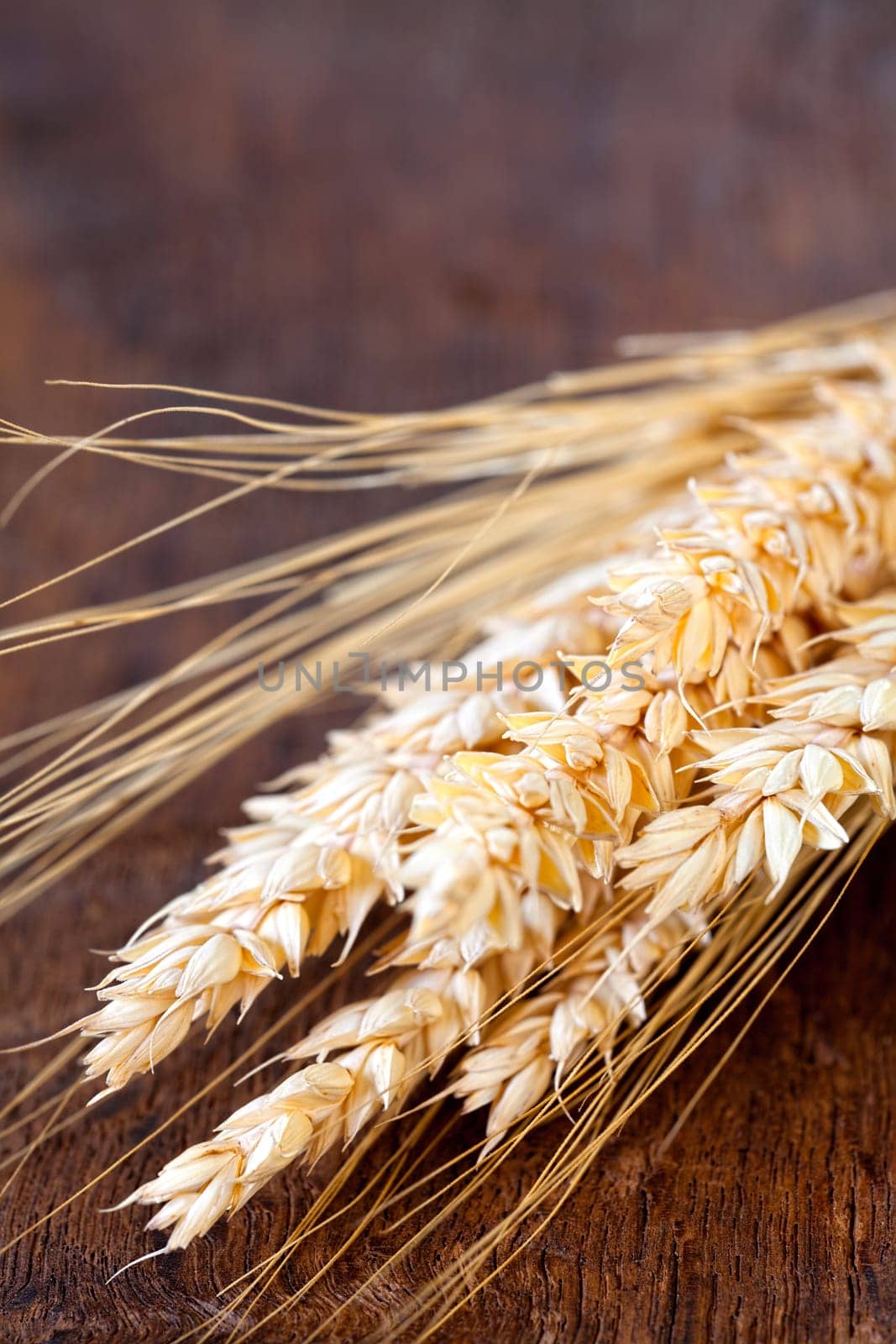 Close-up view of dried cereal ears on old wooden board