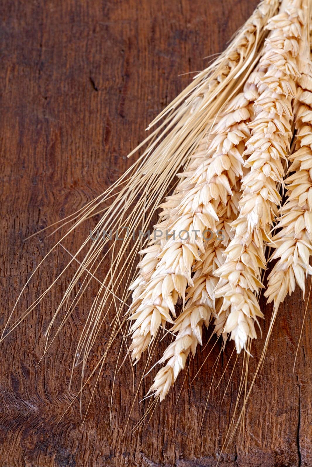 Close-up view of dried cereal ears on old wooden board