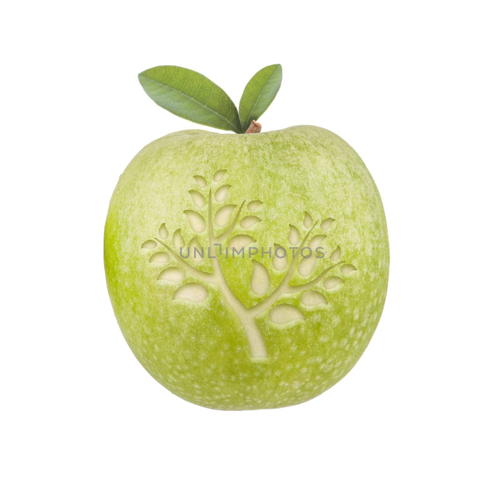 Apple with tree