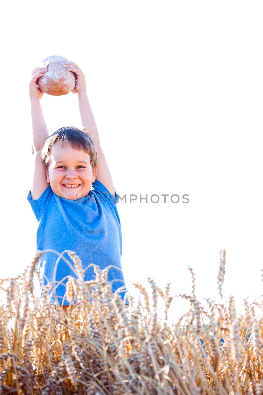 Boy with the bread over your head in the mature grain with the sun at your back for dream atmosphere