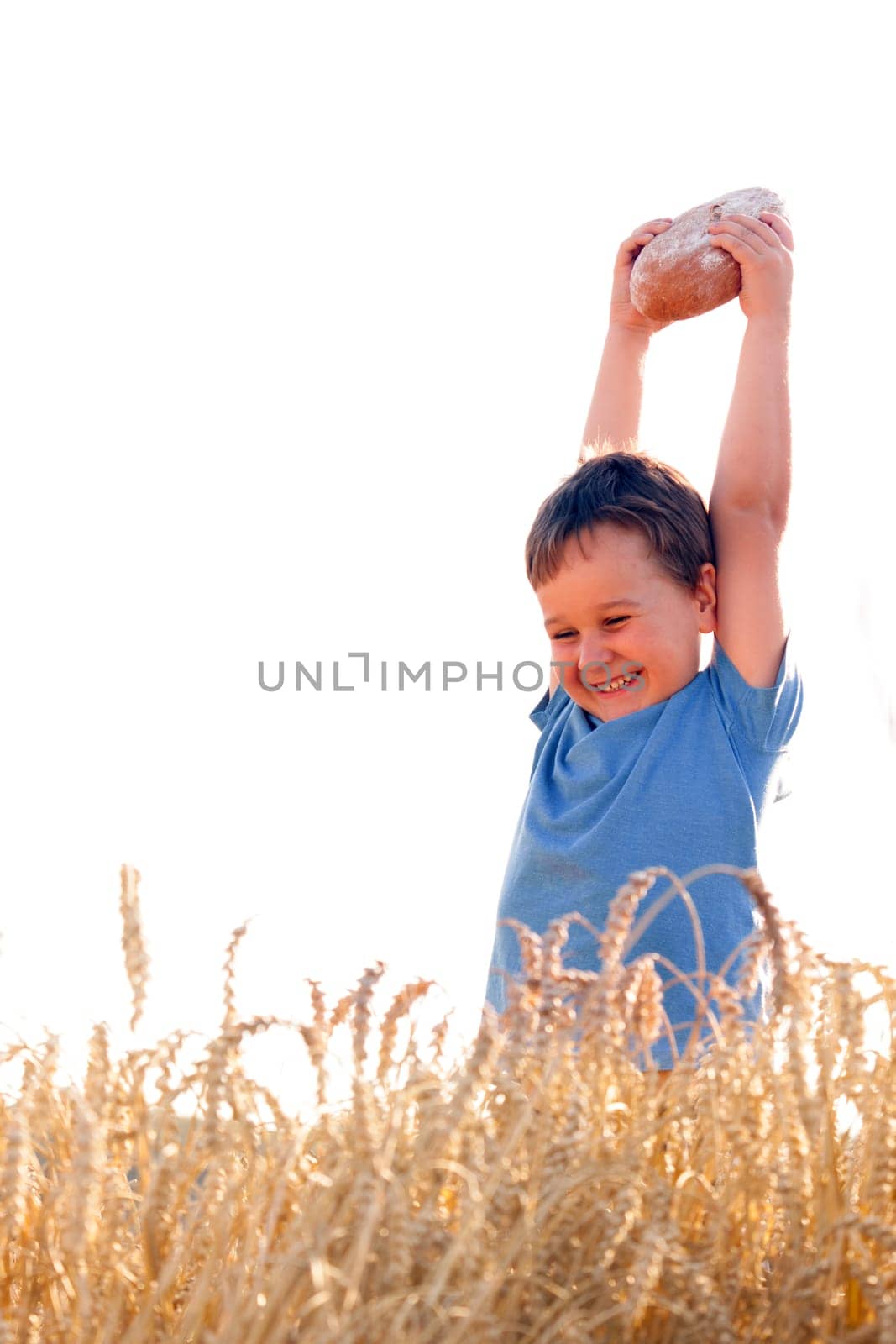 Boy with the bread over your head in the mature grain with the sun at your back for dream atmosphere