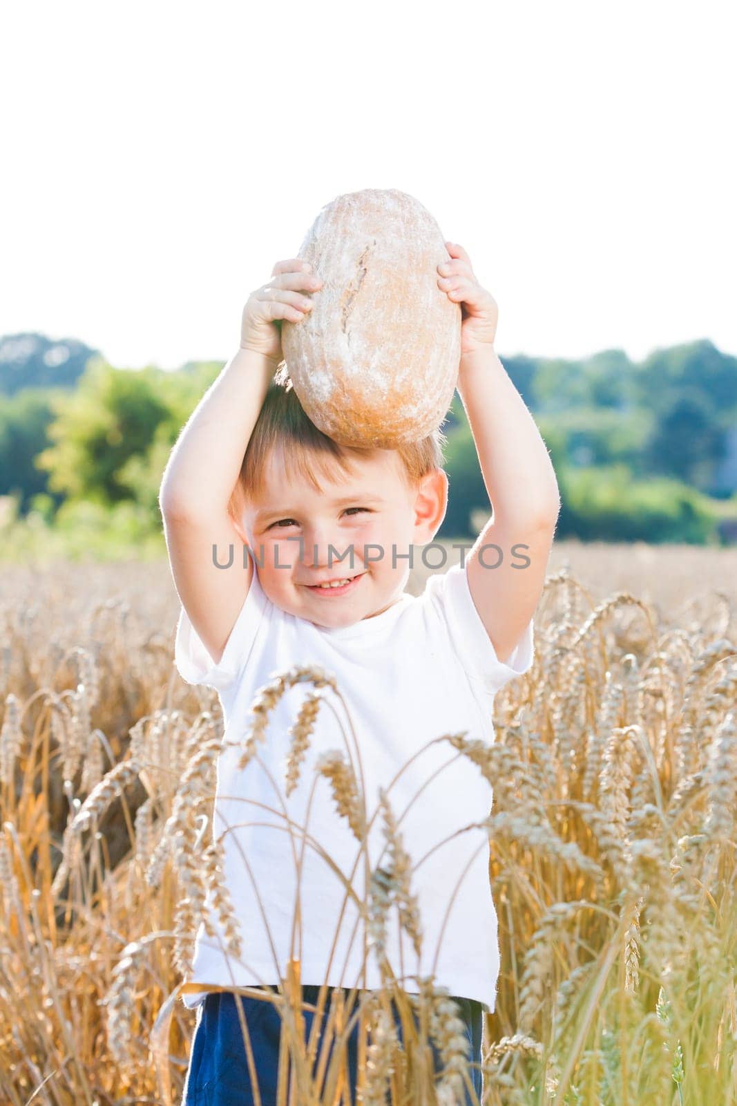 Boy with the bread over your head in the mature grain with the sun at your back for dream atmosphere