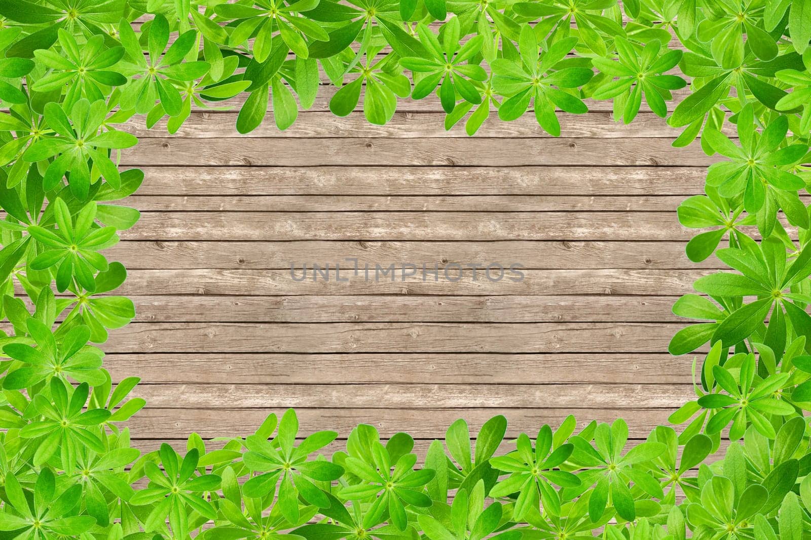 Wooden wall with frame made entirely of Waldmeister