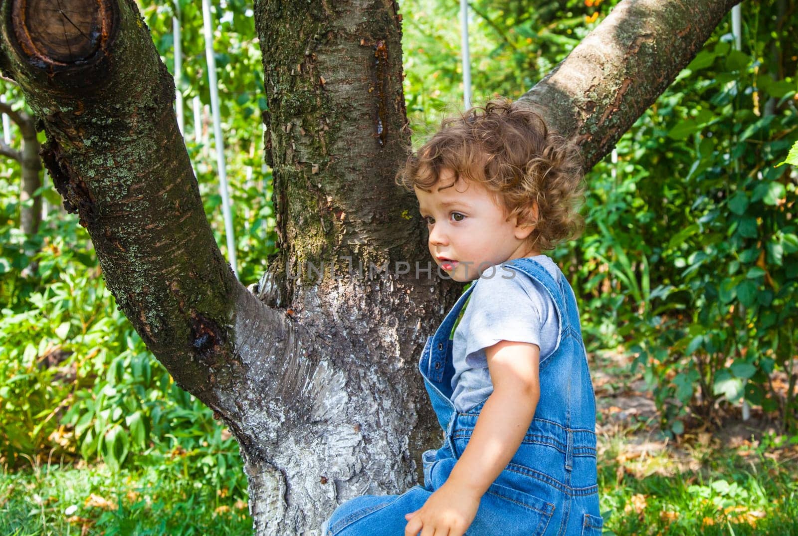 Portrait of 1 year old baby boy trying to climb a cherry tree.