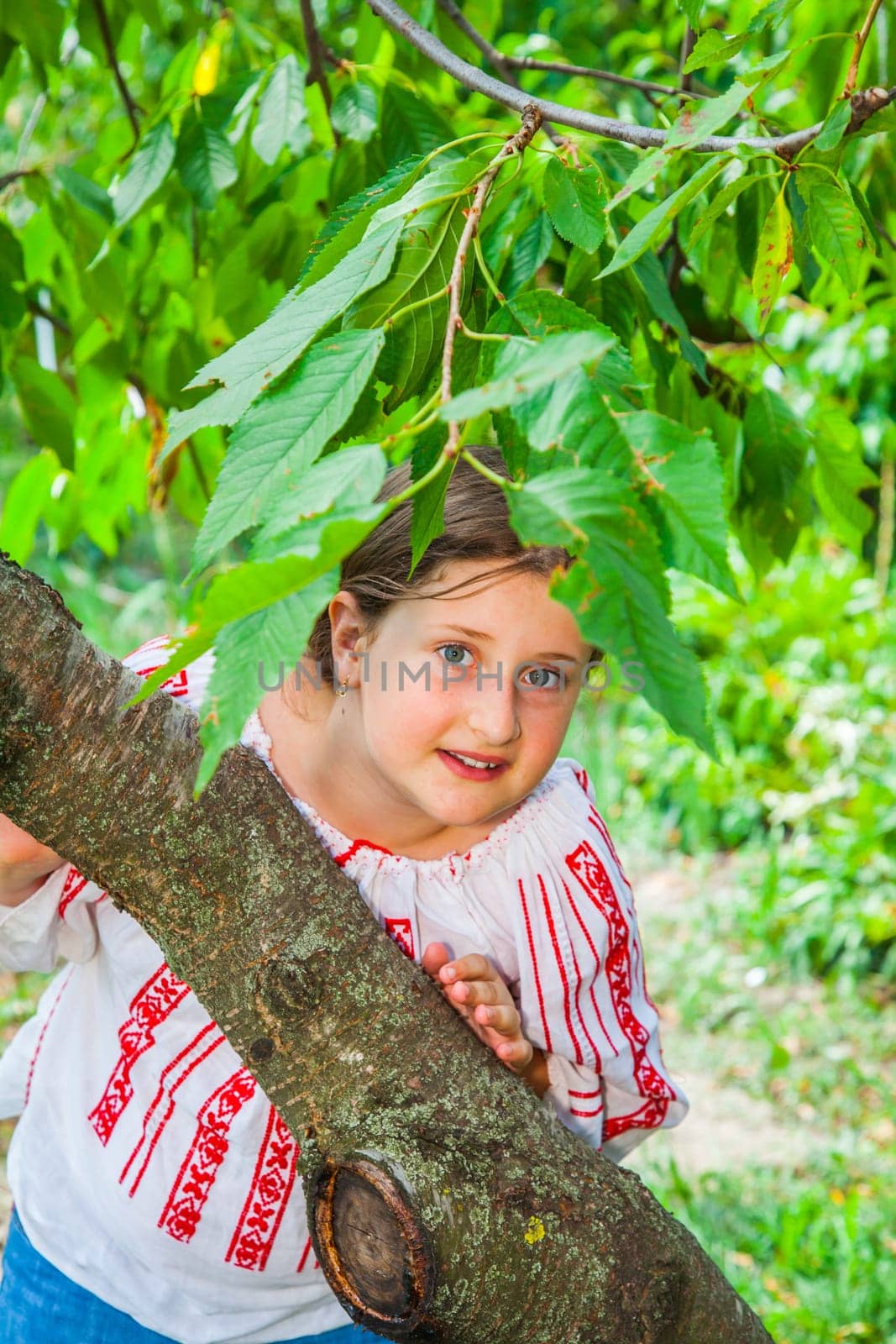 Portrait of a 10 year old girl wearing a Romanian traditional blouse.