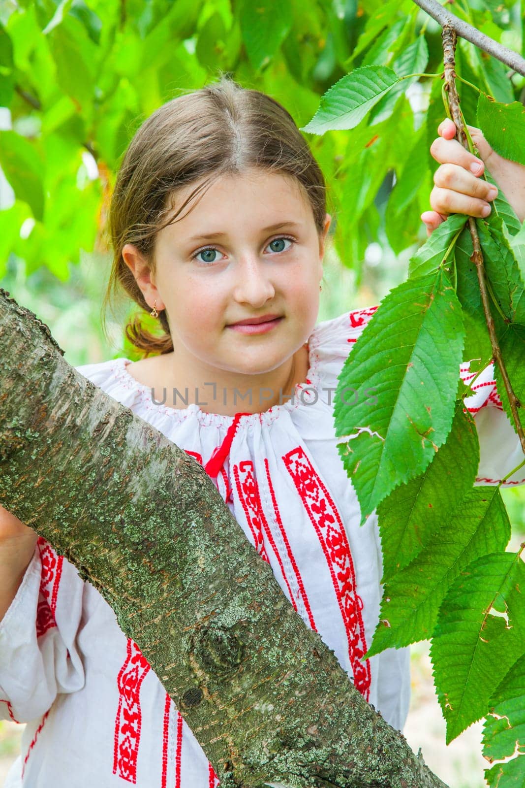 Portrait of a 10 year old girl wearing a Romanian traditional blouse.