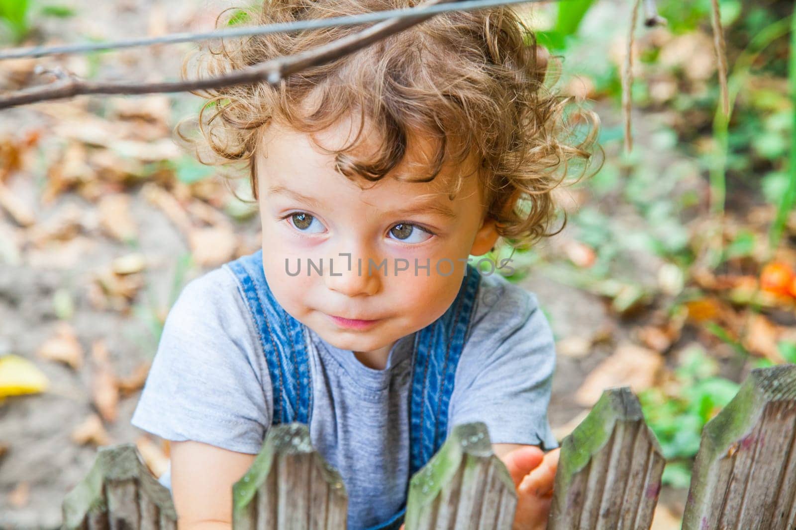 Portrait of 1 year old baby boy behind a small fence.