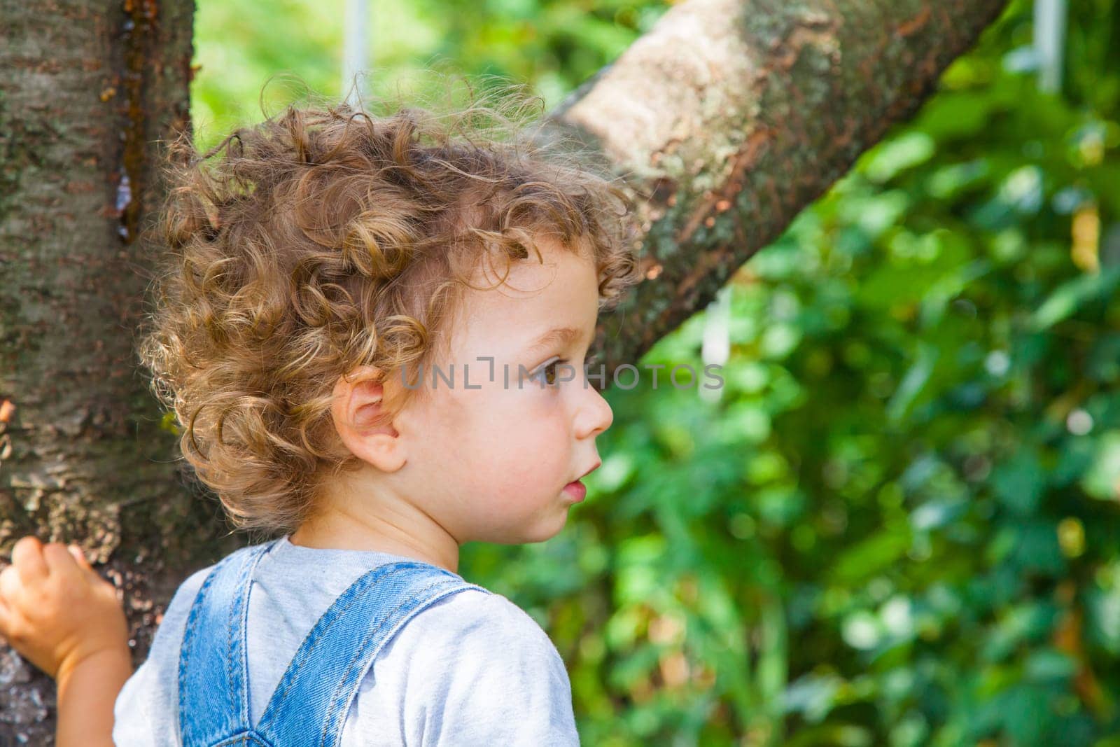 Portrait of 1 year old baby boy at home.